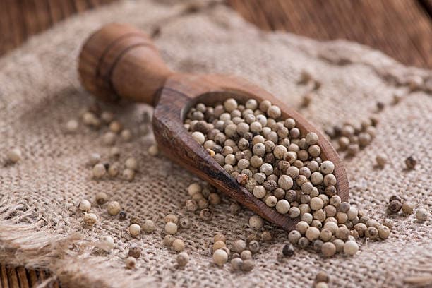 تصویر 2 از قیمت خرید تخم گشنیز خوش طعم با فروش عمده